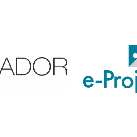 Statement of collaboration between Mirador Global e-Projection